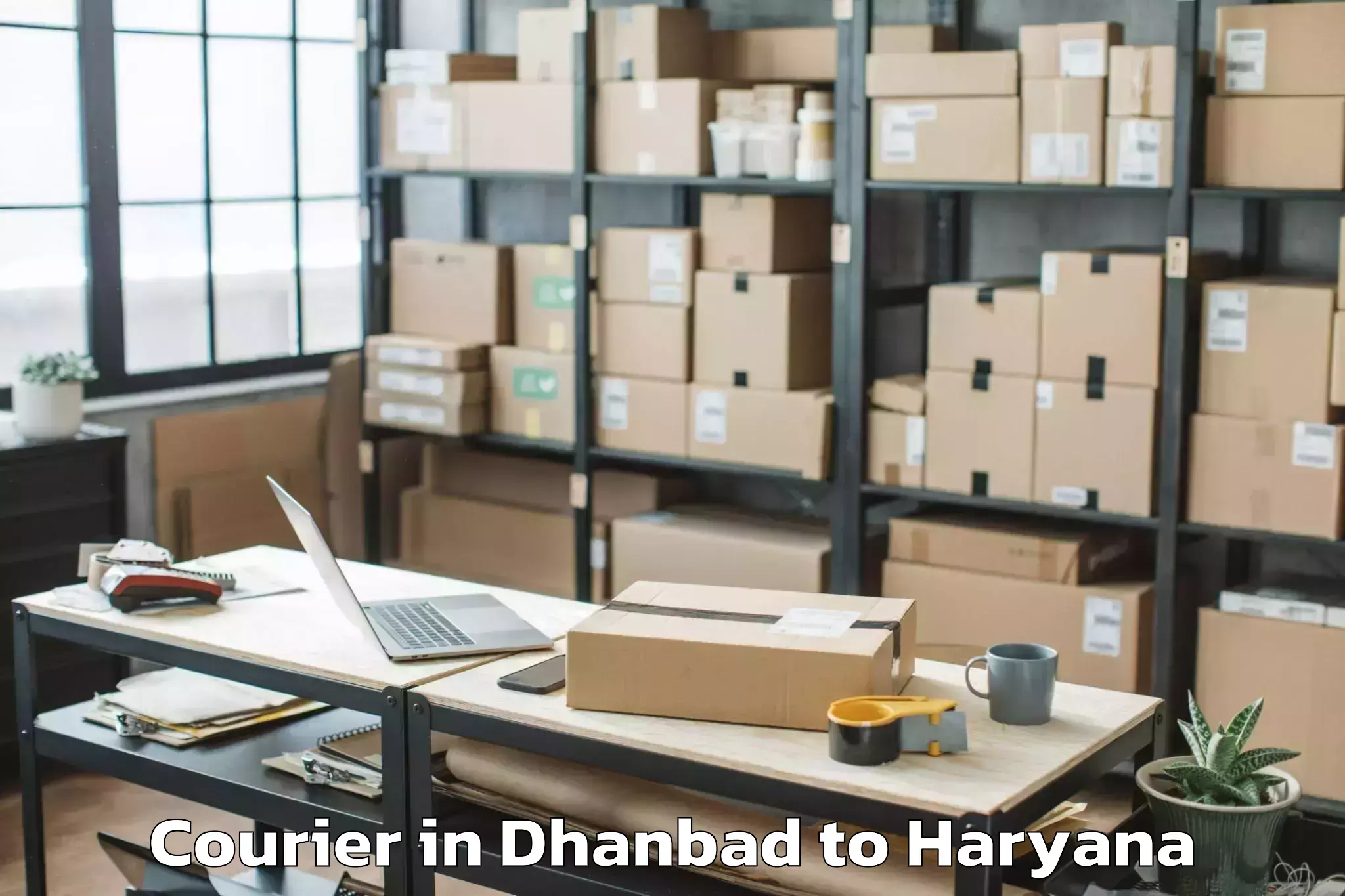 Easy Dhanbad to Mahendragarh Courier Booking